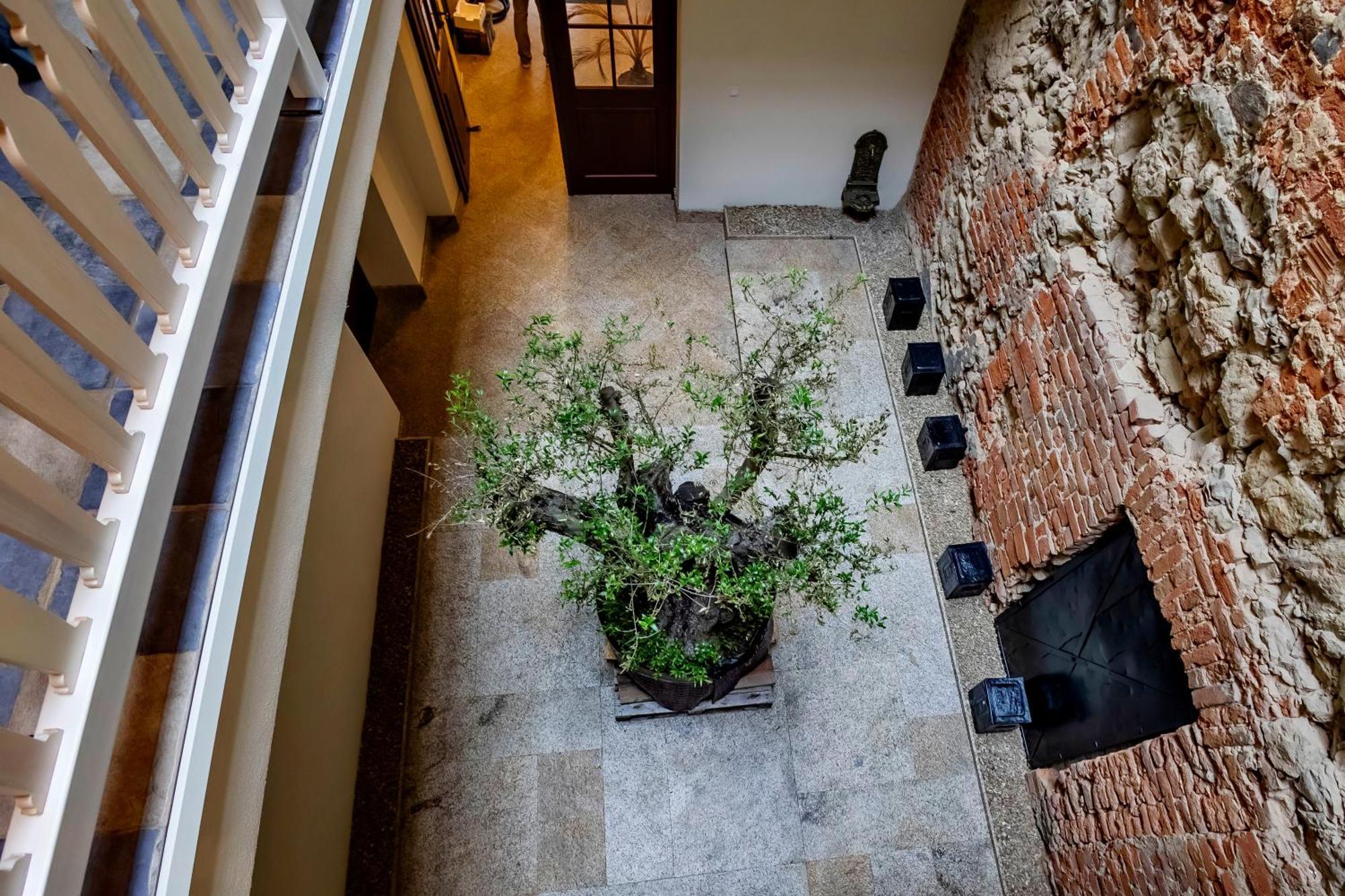 Lubartowska 19 Apartamenty Lublin Dış mekan fotoğraf