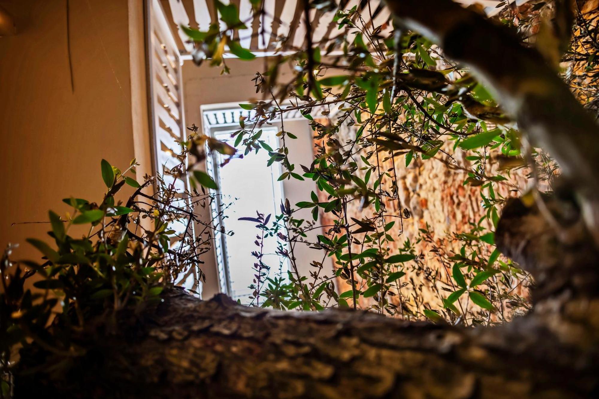 Lubartowska 19 Apartamenty Lublin Dış mekan fotoğraf