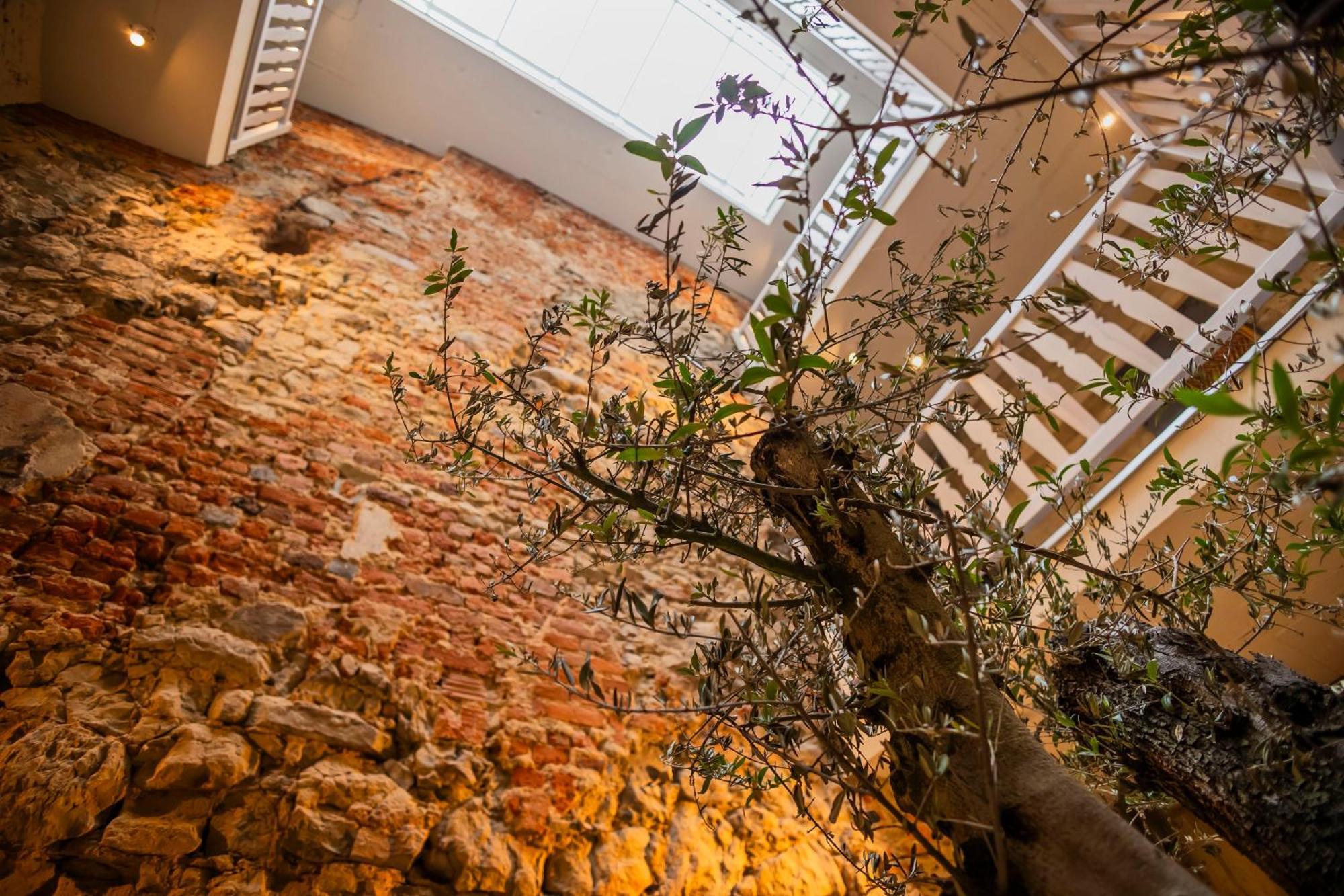 Lubartowska 19 Apartamenty Lublin Dış mekan fotoğraf